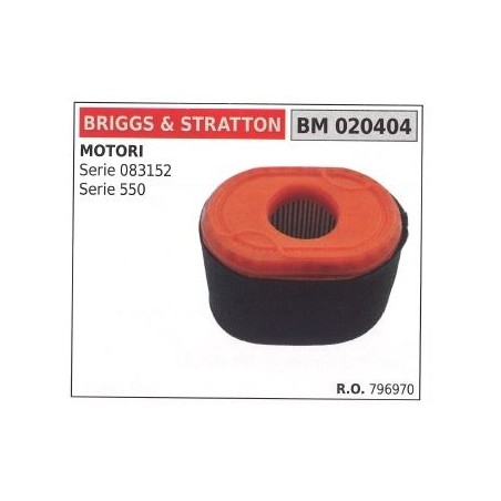 Filtro aria BRIGGS&STRATTON rasaerba tosaerba tagliaerba SERIE 796970 550 | NewgardenParts.com