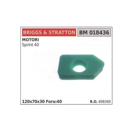 Filtro aria BRIGGS&STRATTON rasaerba tosaerba tagliaerba sprint 40 698369 | NewgardenParts.com