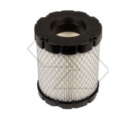 BRIGGS&STRATTON Luftfilter-Rasenmäher 44M977 44P977 | NewgardenParts.com