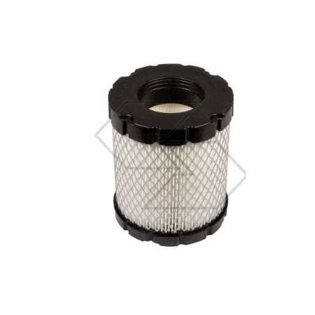 BRIGGS&STRATTON Luftfilter-Rasenmäher 44M977 44P977 | NewgardenParts.com