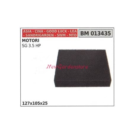 Filtro aria CINA motore motozappa SG 3.5 HP 013435 | NewgardenParts.com