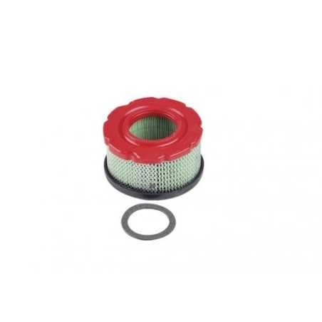 Air filter compatible BRIGGS&STRATTON engine 005425 797819 | NewgardenParts.com