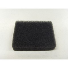 Luftfilter für Freischneider 720-7225-725S-725D-726-726T EFCO-OLEO-MAC | NewgardenParts.com