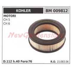 Filtro aria KOHLER trattorino rasaerba CH 5 6 009812 | NewgardenParts.com