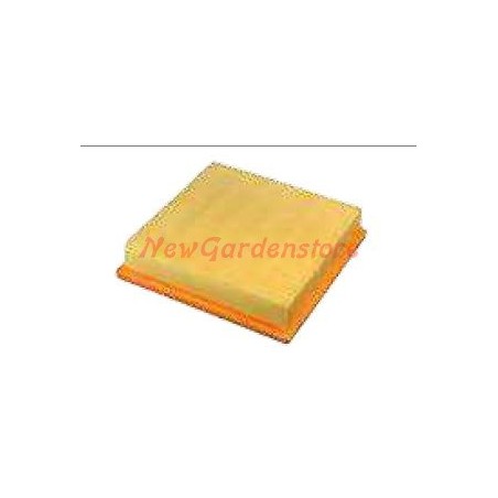 Filtro aria LOMBARDINI per motocoltivatore 6LD435 A03892 | NewgardenParts.com