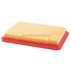 AIR FILTER LONCIN 196 CC DIMENSIONS 170 X 125 MM 180130215-0001 | NewgardenParts.com