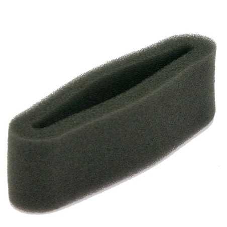 Air filter brushcutter engine BC GGP 23220009 123220009/0 310274 | NewgardenParts.com