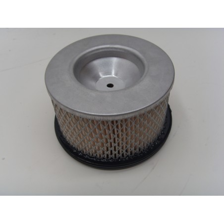 Filtro aria motore diesel LOMBARDINI 15LD315 15LD350 2175.176 100013 | NewgardenParts.com