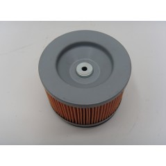 Filtro aria motore diesel LOMBARDINI 15LD315 15LD350 2175.176 100013 | NewgardenParts.com