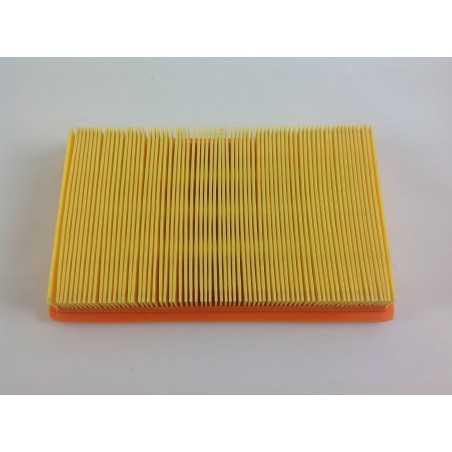 Luftfilter Dieselmotor LOMBARDINI LDW FOCS 502 503 702 903 2175.164 100015 | NewgardenParts.com