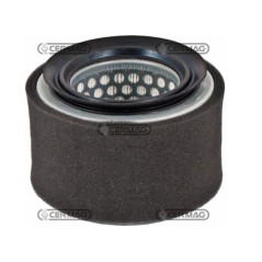 Filtro de aire motor máquina agrícola LOMBARDINI 15LD315 | NewgardenParts.com