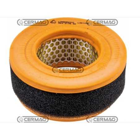 Luftfilter Motor Landmaschine LOMBARDINI 9LD560-2 - 9LD561-2 | NewgardenParts.com