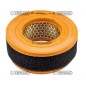 Air filter engine agricultural machine LOMBARDINI 9LD560-2 - 9LD561-2 Air filter engine agricultural machine LOMBARDINI 9LD560-2 - 9LD561-2