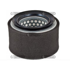 Luftfilter Motor Landmaschine LOMBARDINI SERIE IM250 IM300 IM350 2175.239