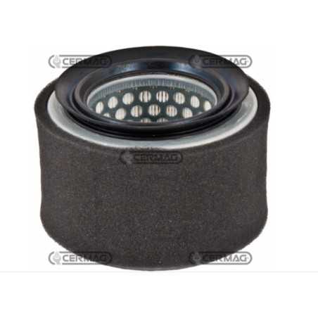 Filtro de aire motor máquina agrícola LOMBARDINI SERIE IM250 IM300 IM350 2175.239 | NewgardenParts.com