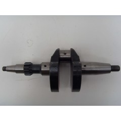 Albero a gomito motore DIESEL LOMBARDINI INDUSTRIALE 3LD510 3C.13.1053.86 | NewgardenParts.com