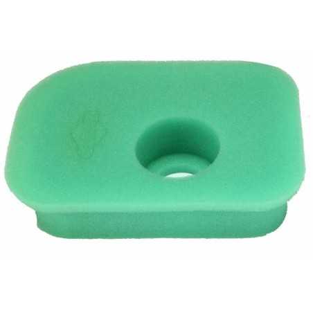 Luftfilter Rasenmähermotor 5 PS 130900 BRIGGS & STRATTON 192039 | NewgardenParts.com