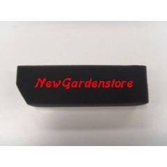 Luftfilter Rasenmähermotor Motormäher BV153-173 TECUMSEH 23410031 | NewgardenParts.com