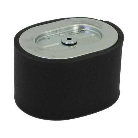 Luftfilter Motor Rasentraktor B&S horizontale Welle 25T200 133x97x90mm | NewgardenParts.com