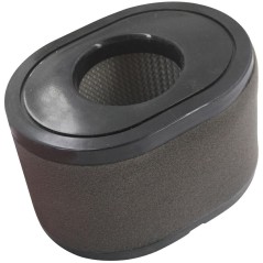Luftfilter Motor Rasentraktor AL-KO PRO700V2 Größe 130x95x80mm 418110 | NewgardenParts.com