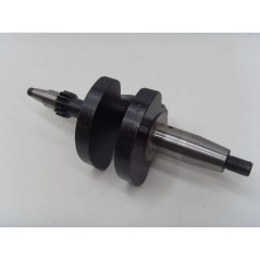 Albero a gomito motore DIESEL LOMBARDINI INDUSTRIALE 3LD510 3C.13.1053.86 | NewgardenParts.com