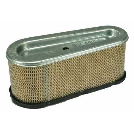 Luftfilter Rasentraktor Motor kompatibel mit JOHN DEERE LG496894 | NewgardenParts.com