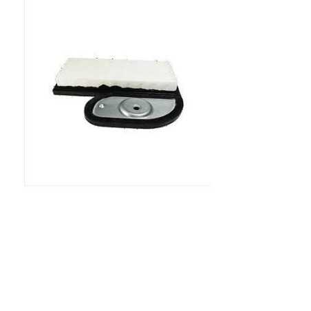 Filtro de aire para tractor cortacésped cortacésped FH541V KAWASAKI | NewgardenParts.com