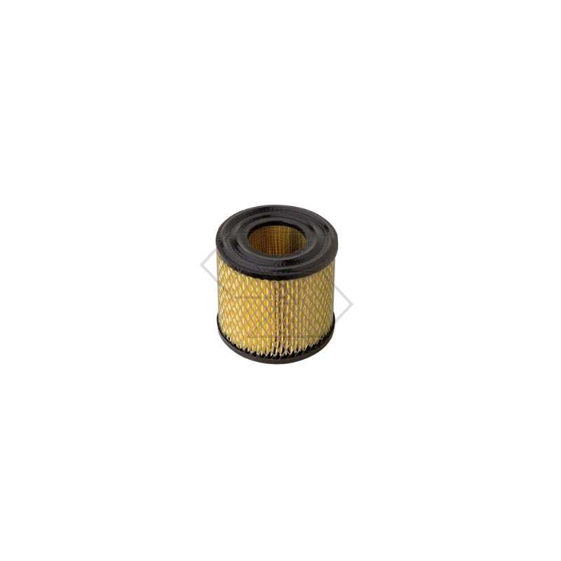 Luftfilter für BRIGGS & STRATTON-Motor
