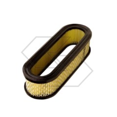 Air filter for BRIGGS & STRATTON engine 394019 | NewgardenParts.com