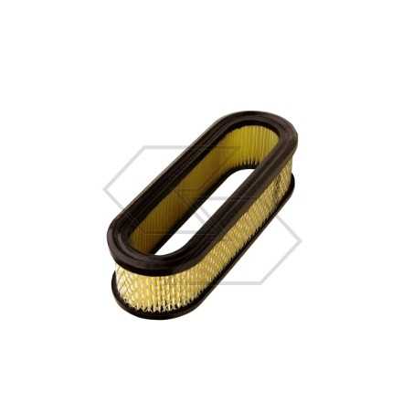 Air filter for BRIGGS & STRATTON engine 394019 | NewgardenParts.com