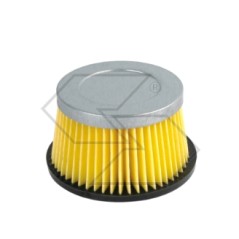 Filtro aria per motore rasaeraba tagliaerba TECUMSEH AM30900 | NewgardenParts.com