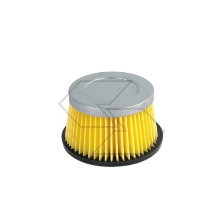 Filtro aria per motore rasaeraba tagliaerba TECUMSEH AM30900 | NewgardenParts.com