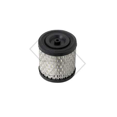 Luftfilter für BRIGGS & STRATTON Rasenmähermotor 396424 | NewgardenParts.com