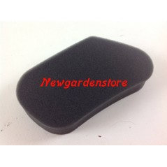 Filtro aria per RASAERBA HR173 GV100 MOTORE HONDA 194033 senza foro 17211-ZL1-000 | NewgardenParts.com