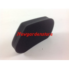 Filtro aria per RASAERBA HR173 GV100 MOTORE HONDA 194033 senza foro 17211-ZL1-000 | NewgardenParts.com