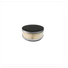 Filtro aria per soffiatore mod. EB630 SHINDAIWA 191814 | NewgardenParts.com