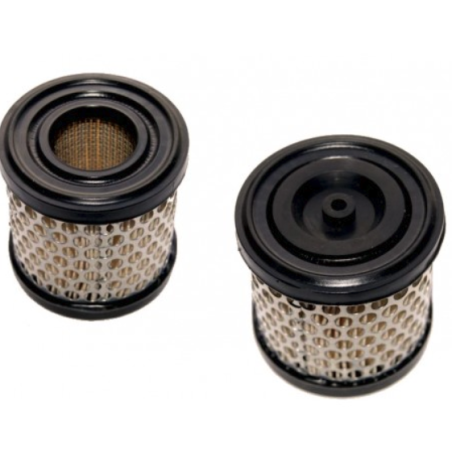 Luftfilter Rasenmäher 2 und 5 PS BRIGGS STRATTON 396424 192043 ORIGINAL | NewgardenParts.com