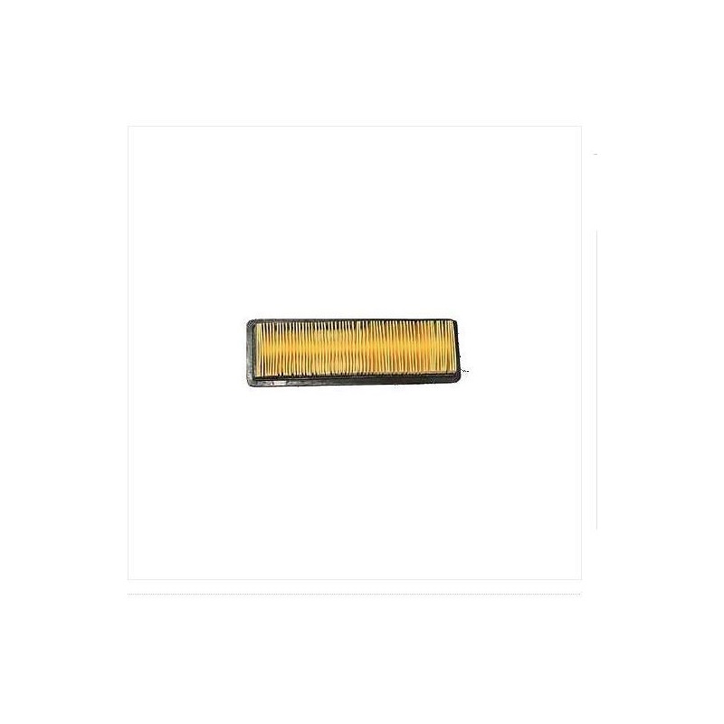 Filtro aria rasaerba tagliaerba Futura OHV TECUMSEH 199003 23410057