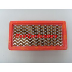 Filtro aria rasaerba tagliaerba Geotec-Geotec OHV TECUMSEH 23410061 199005 | NewgardenParts.com