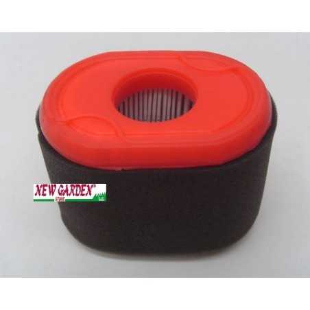 Luftfilter Rasenmäher 796970 BRIGGS&STRATTON 192028 550 Serie | NewgardenParts.com