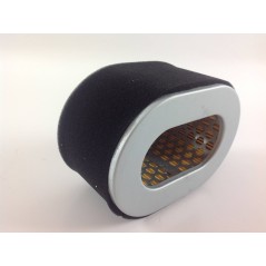 Luftfilter Trockenmotor Grubber ZANETTI ZDM86 88 YANMAR L48 L70 | NewgardenParts.com