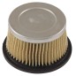 Filtro aria TAGLIAERBA compatibile TECUMSEH H22 H40 H80