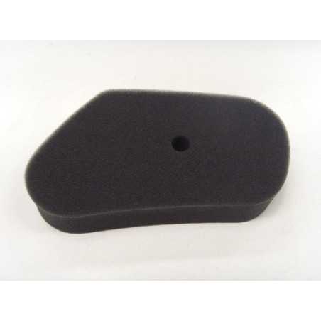 Air filter lawnmower trimmer HR173 GV100 HONDA 194031 engine with hole