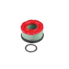 Luftfilter Rasentraktor Mähmaschine BRIGGS&STRATTON 797819 | NewgardenParts.com