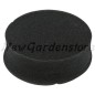 Luftfilter Rasenmähertraktor kompatibel HONDA 17211-883-010