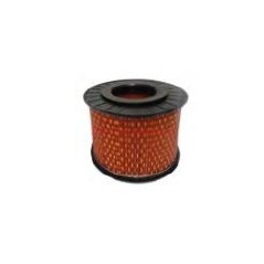 Filtro carburante aria HATZ rasaerba tosaerba 100018 | NewgardenParts.com