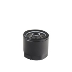 Engine fuel filter compatible ACME AD118 - AD121 - ADN37 - ADN37 W | NewgardenParts.com