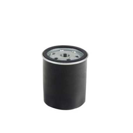 Kraftstofffilter kompatibel Motor LOMBARDINI ACME AD118 - AD121 | NewgardenParts.com