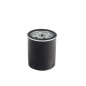 Fuel filter compatible engine LOMBARDINI ACME AD118 - AD121