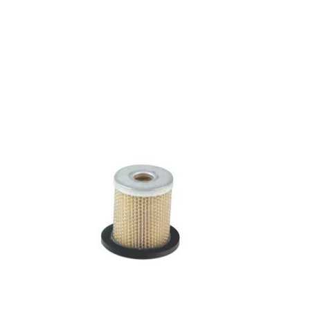 Motor-Kraftstofffilter kompatibel LOMBARDINI LD400 - LDA500 SERIE | NewgardenParts.com